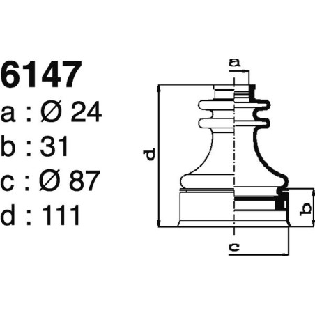 6147.jpg
