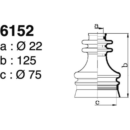 6152.jpg 6152.jpg