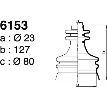 6153.jpg 6153.jpg