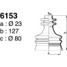 6153.jpg 6153.jpg
