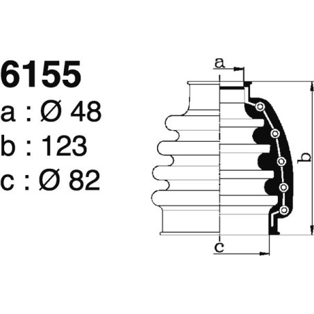 6155.jpg
