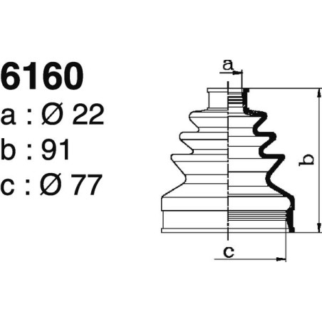6160.jpg 6160.jpg