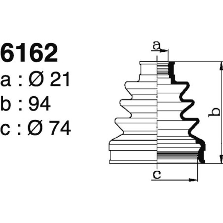 6162.jpg 6162.jpg