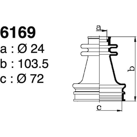 6169.jpg 6169.jpg