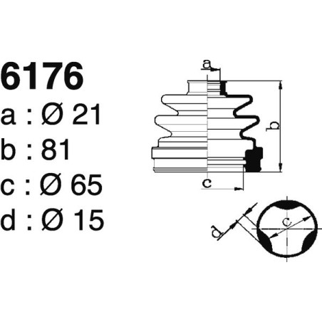 6176.jpg 6176.jpg