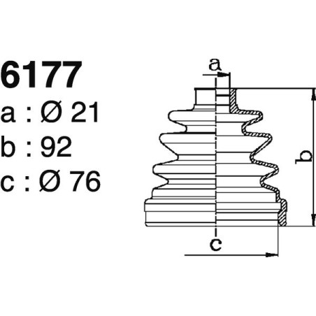 6177.jpg 6177.jpg