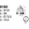 6180.jpg 6180.jpg
