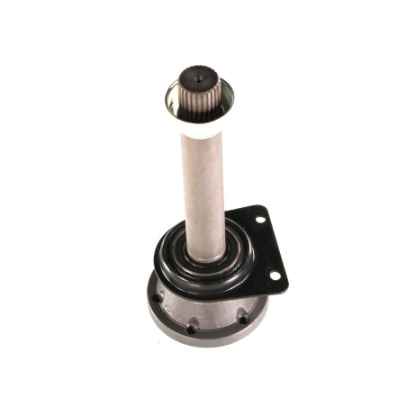 AIFO8170_1(1).jpg