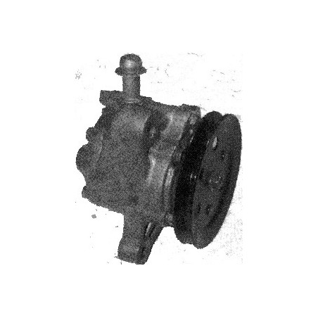P135.JPG
