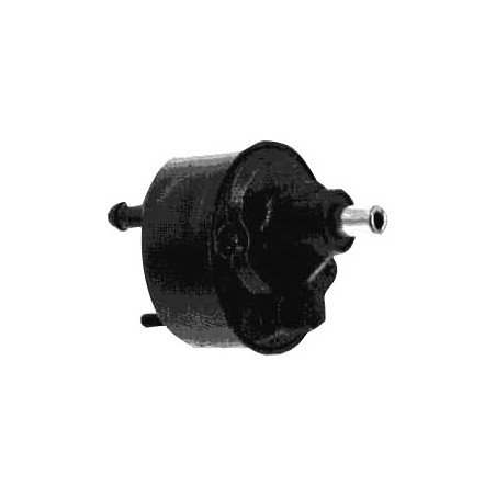 P37.JPG