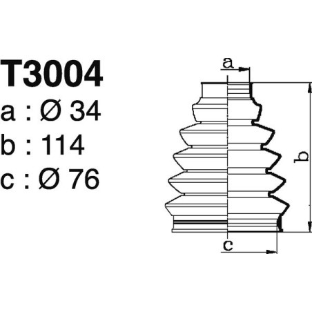 T3004.jpg