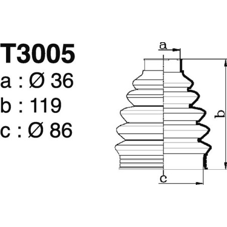 T3005.jpg