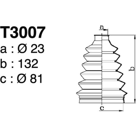 T3007.jpg