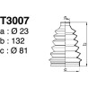 T3007.jpg