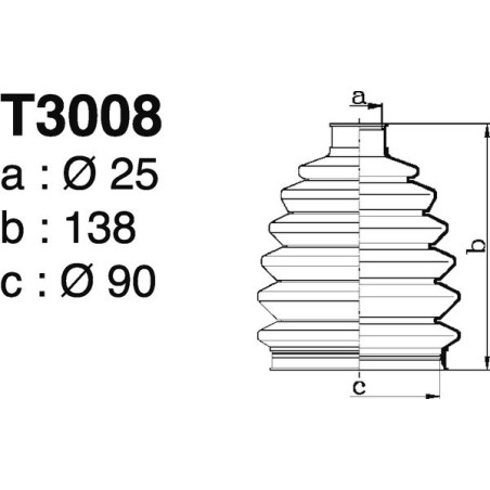T3008.jpg