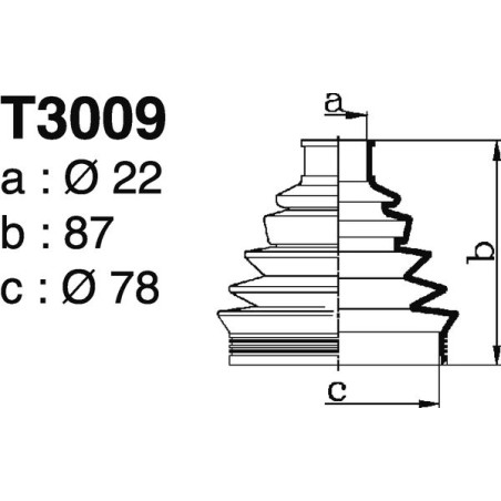 T3009.jpg