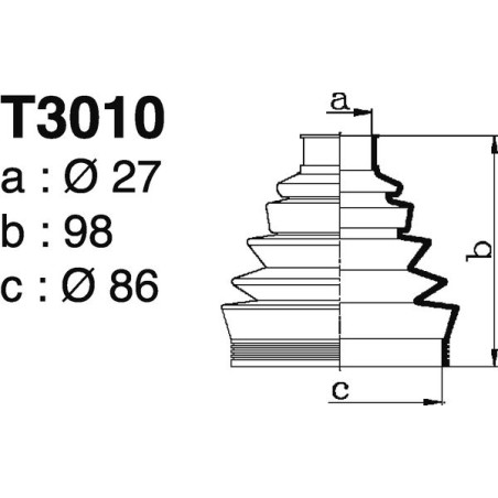T3010.jpg