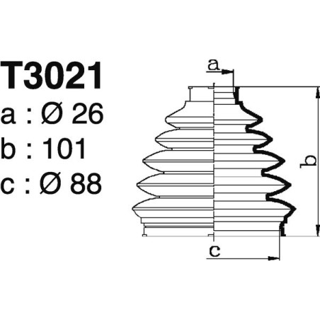 T3021.jpg