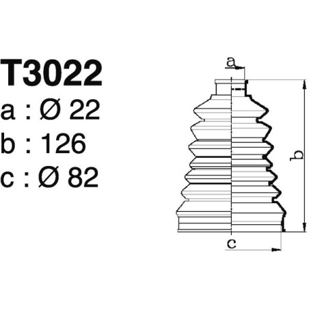 T3022.jpg