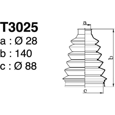 T3025.jpg