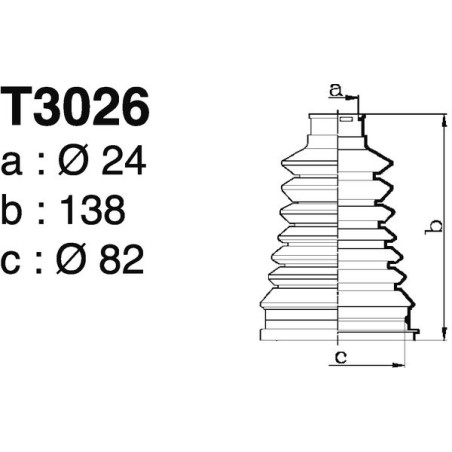 T3026.jpg