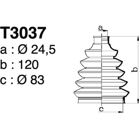 T3037.jpg T3037.jpg