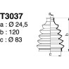 T3037.jpg T3037.jpg