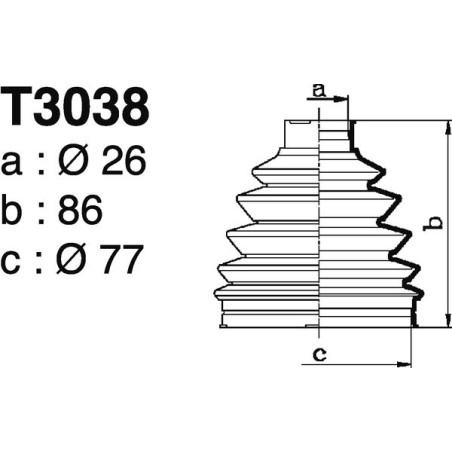T3038.jpg