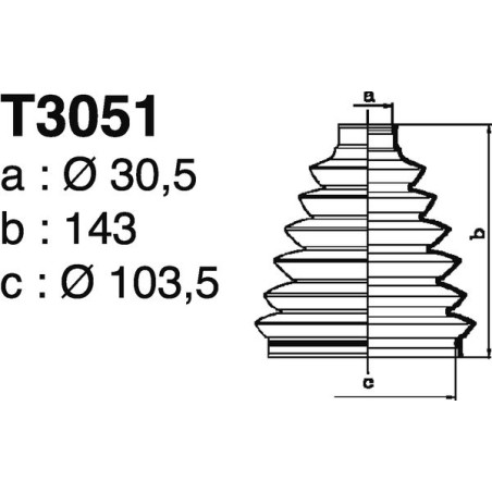 T3051.jpg