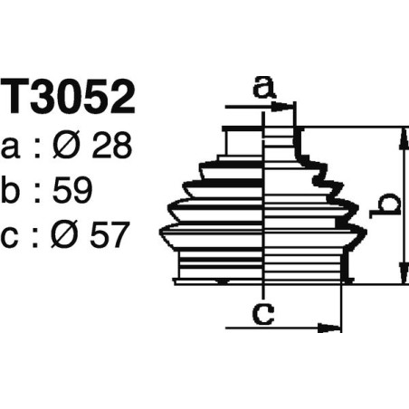 T3052.jpg