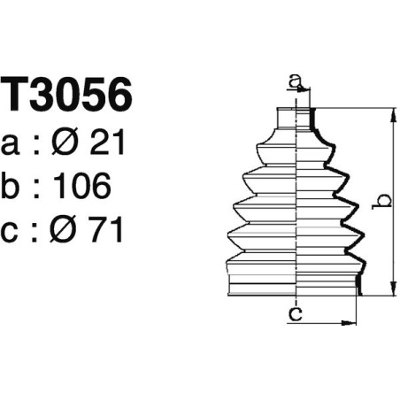 T3056.jpg