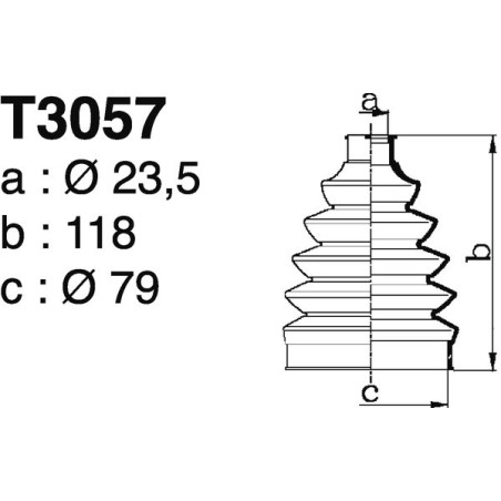 T3057.jpg