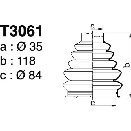 T3061.jpg