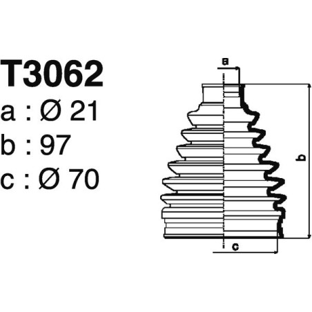 T3062.jpg