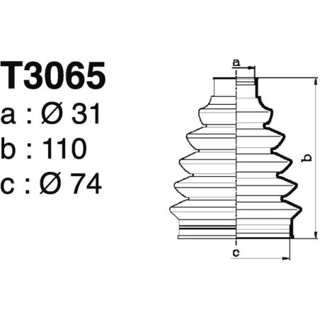 T3065.jpg
