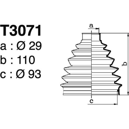 T3071.jpg