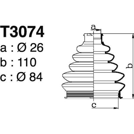 T3074.jpg