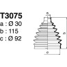 T3075.jpg