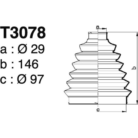 T3078.jpg