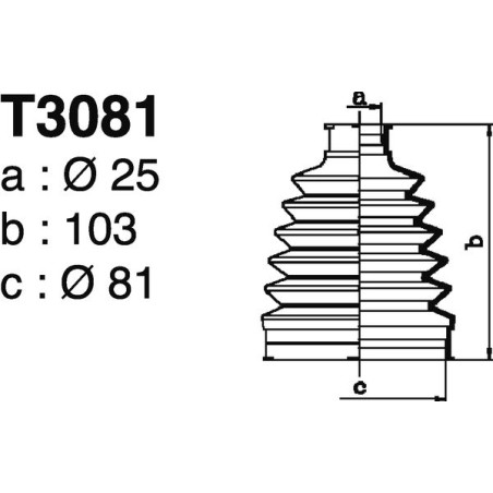 T3081.jpg