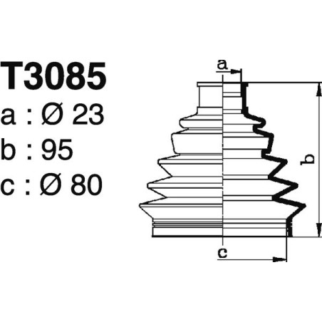 T3085.jpg