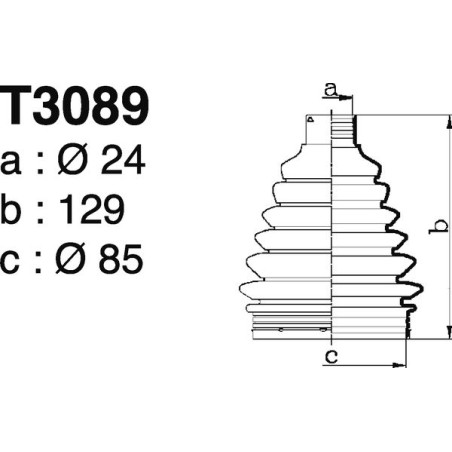 T3089.jpg