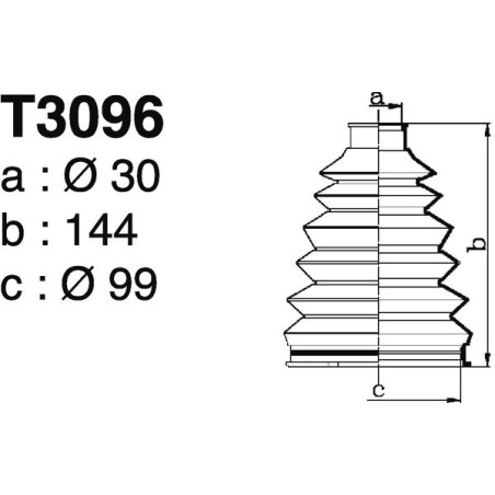 T3096.jpg