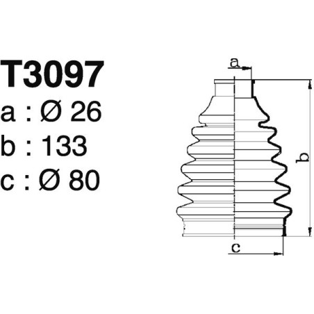 T3097.jpg