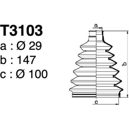 T3103.jpg