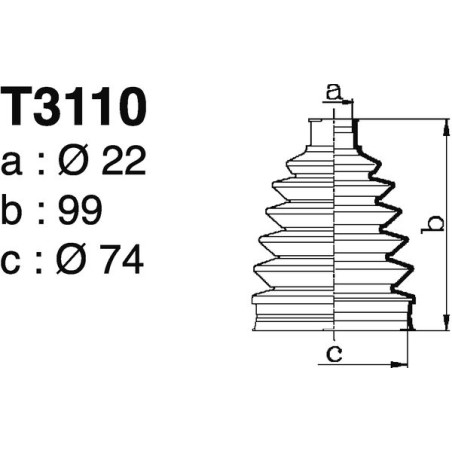T3110.jpg