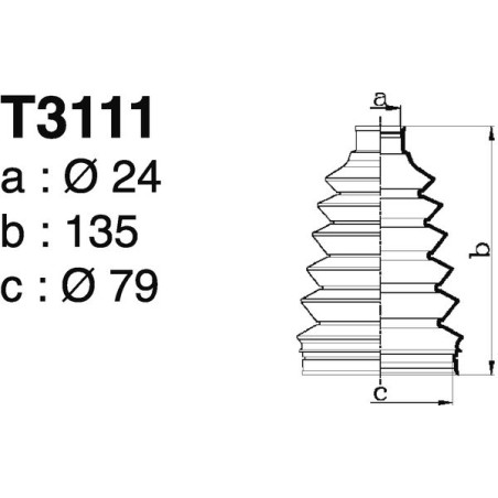 T3111.jpg