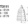 T3111.jpg