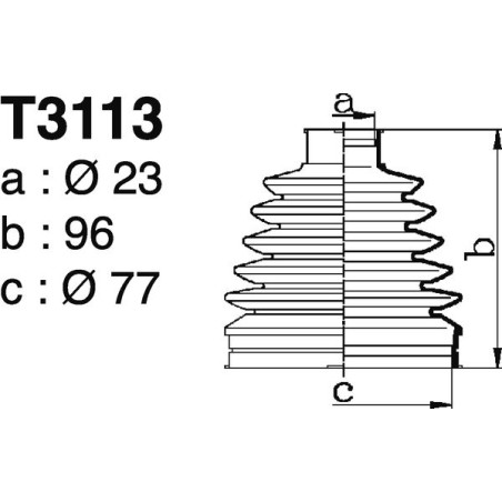 T3113.jpg