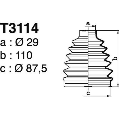 T3114.jpg